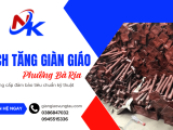 Cung cấp kích tăng giàn giáo phường Bà Rịa đảm bảo tiêu chuẩn kỹ thuật